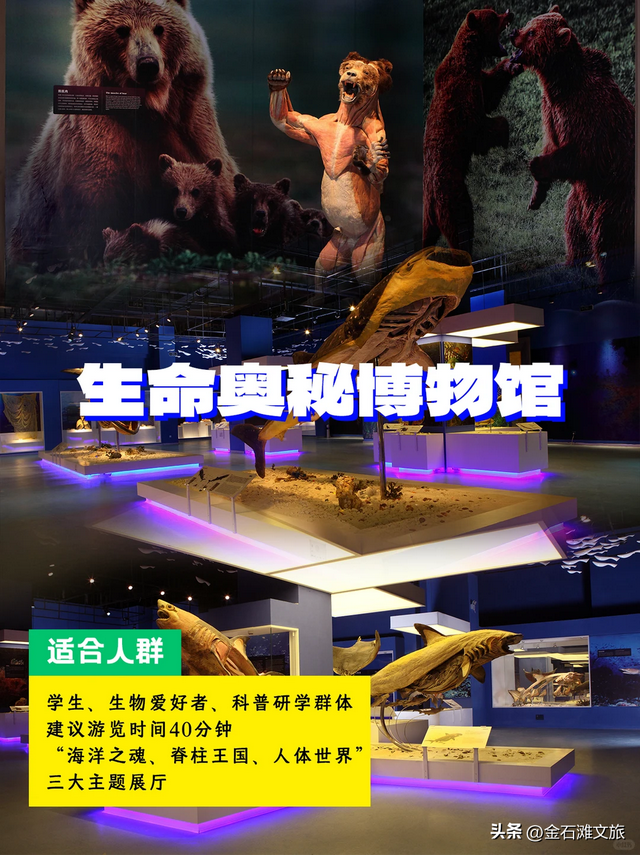 闭眼入！金石滩冬日周末畅玩联票明天开售