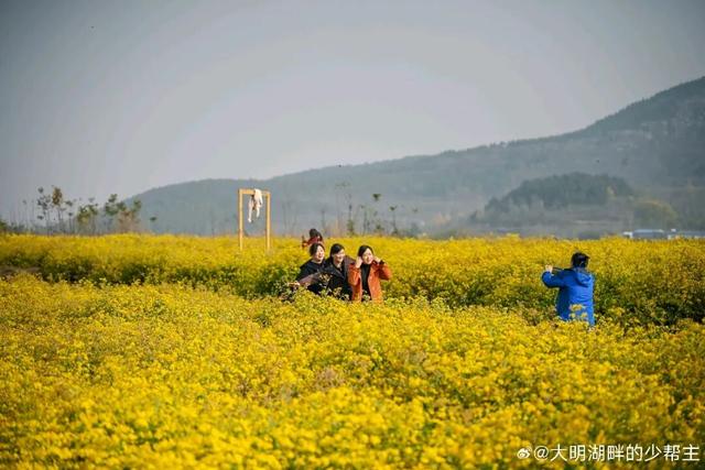 中医药、温泉、养生阿胶，济南的“康养密码”在这里！