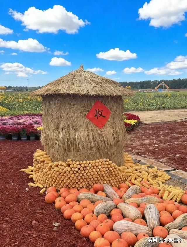 最后 1 天倒计时!错过真要等一年!