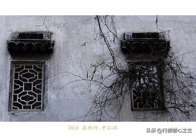 江南古镇行游影记（50）—苏州平江路（四）