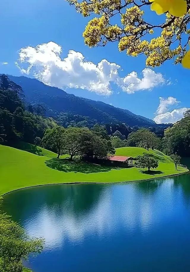#美丽风景 #蓝天白云绿草地 #自然风光