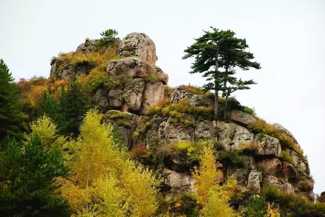 《李銮宣传记》38 桑梓情深留遗存