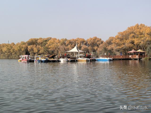 2025环南疆沙漠铁路背包自由行日记(4)——游览泽普金湖杨景区