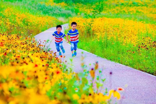 秋老虎发威？照金 19℃超凉爽，带娃抓住暑假小尾巴！
