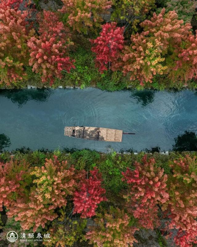 知否知否？应是山东小生！