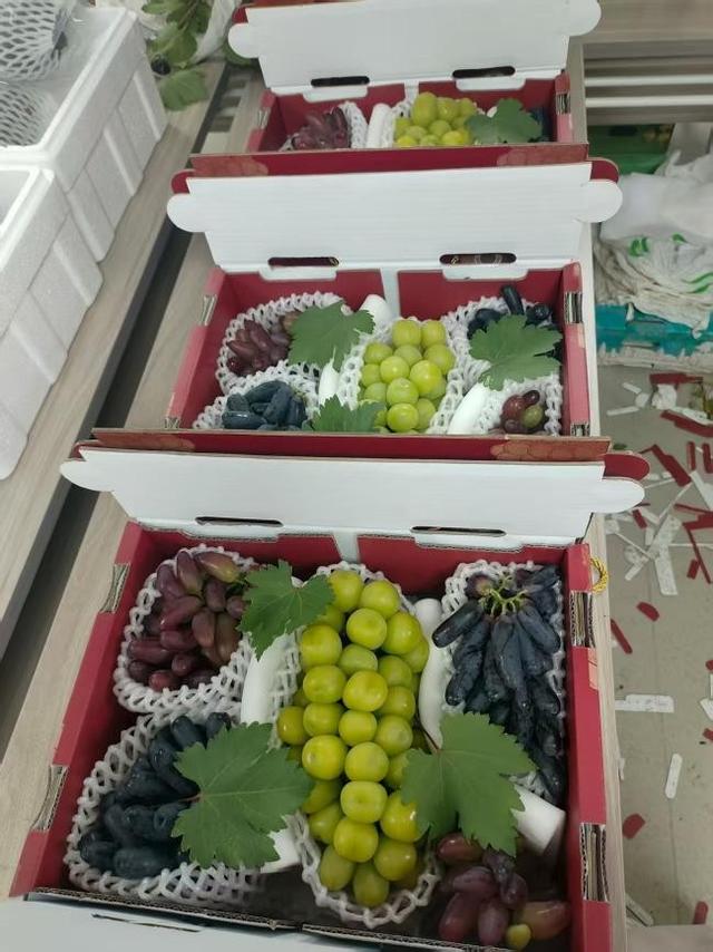 西安高新区葡萄采摘攻略：邂逅田园美味，共赴甜蜜之约