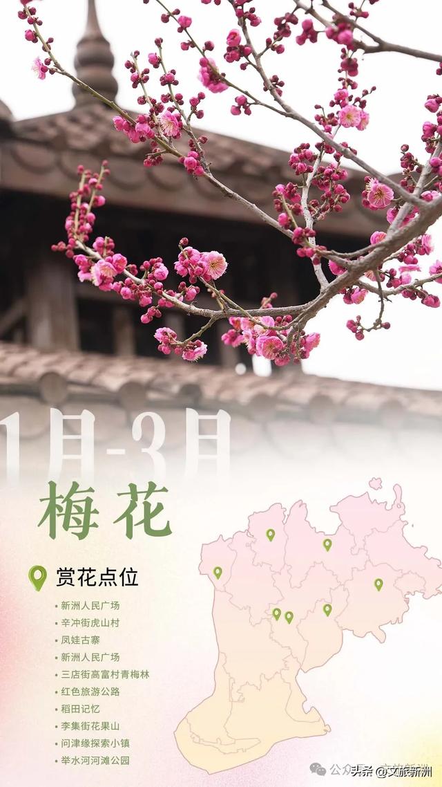 2026新洲全新赏花地图出炉，承包你一整年的朋友圈