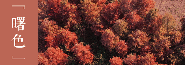 周末去打卡丨来吴江，“捡秋”！