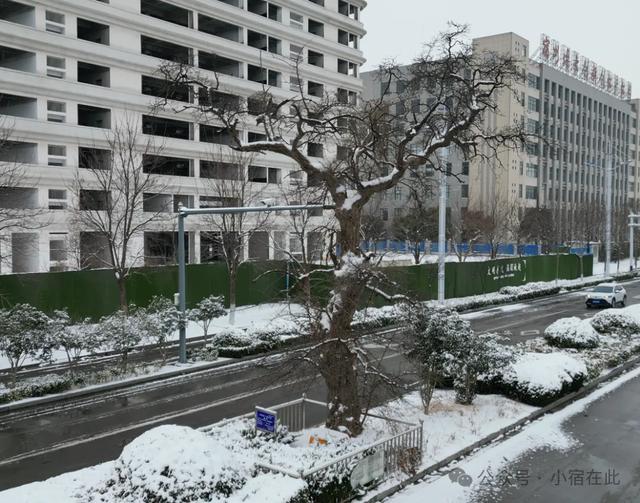雪后的宿州，太美了！一梦千年！