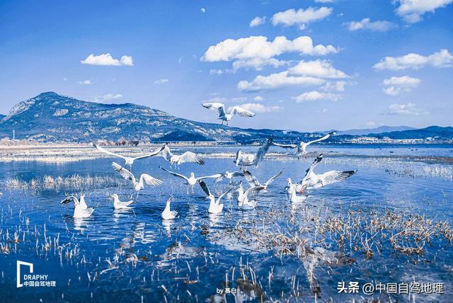 秋冬最被低估的旅居净土！收藏这份保姆级赏玩攻略，来了就不想走