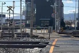 中国女游客被撞身亡地为“死亡道口”？有游客亲历：走了一半横杆突然放下，在危险区域等待时身后有电车开过图片