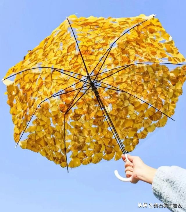 限时绝美!黄石街头进入颜值巅峰