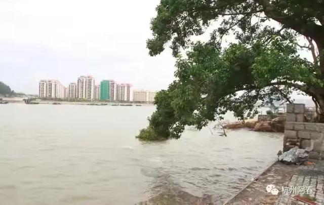澳门路环，宁静超脱……