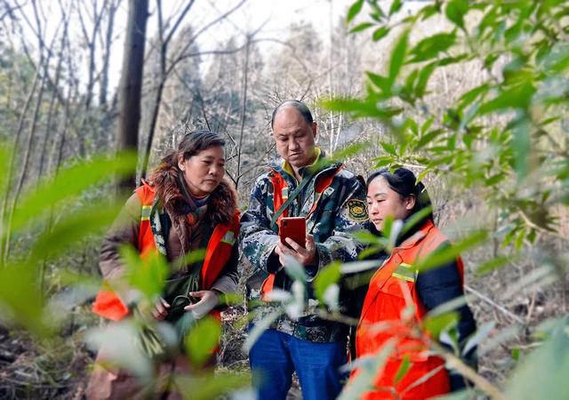 监守自盗! 2024年, 湖北一护林员在山里架980米电网, 冰柜中搜出肢体