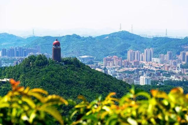 欢聚一堂，共庆生辰！东莞观音山建园26周年庆典隆重举行