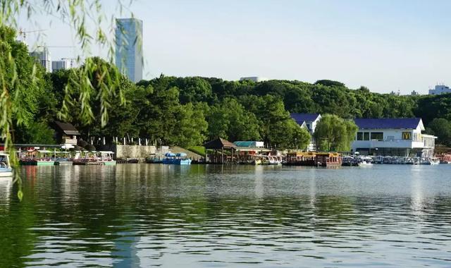 延安黑马子长宝塔延川未料今夺全国焦点！