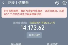 花呗欠款成“隐形炸弹”，这些后果你能承担吗？图片