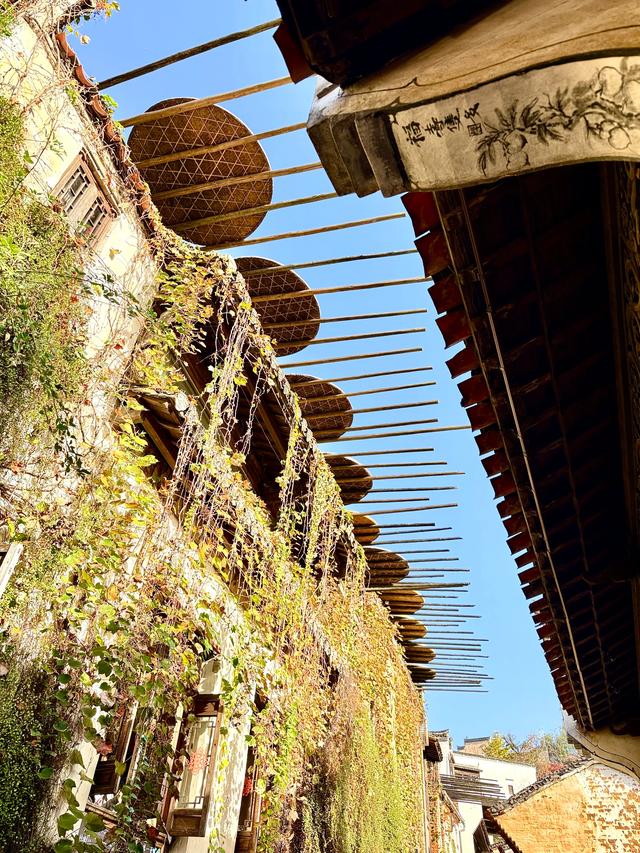 篁岭涅槃（婺源县篁岭景区）