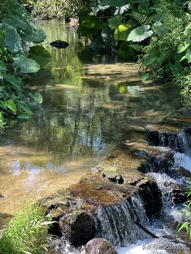 隐匿在广东的冬日秘境：恩平，一座20℃暖冬里的温柔小城