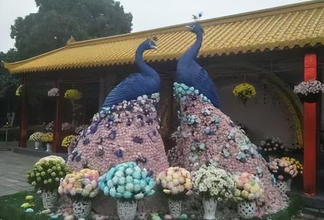 “花开北京·菊韵金秋” 2025北京菊花文化节在北海公园启幕 | 动态