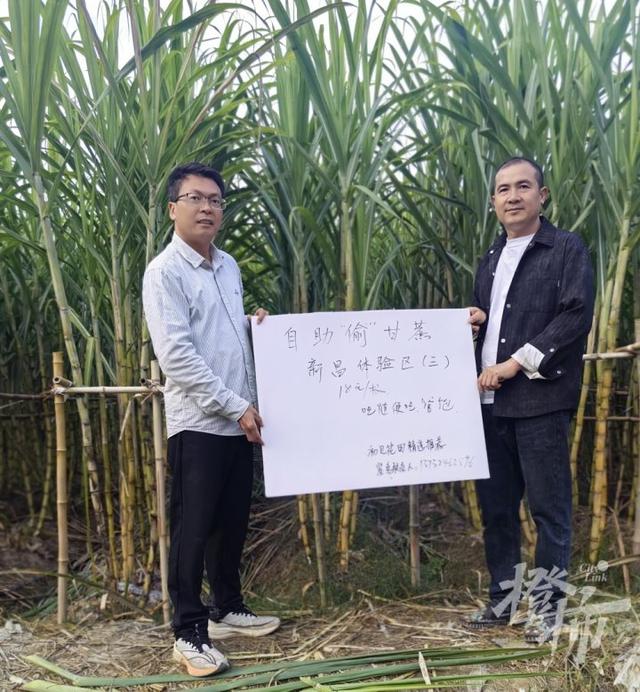 爆火全国的“偷甘蔗”，又是浙江人想出来的！橙柿专访“第一发明人”