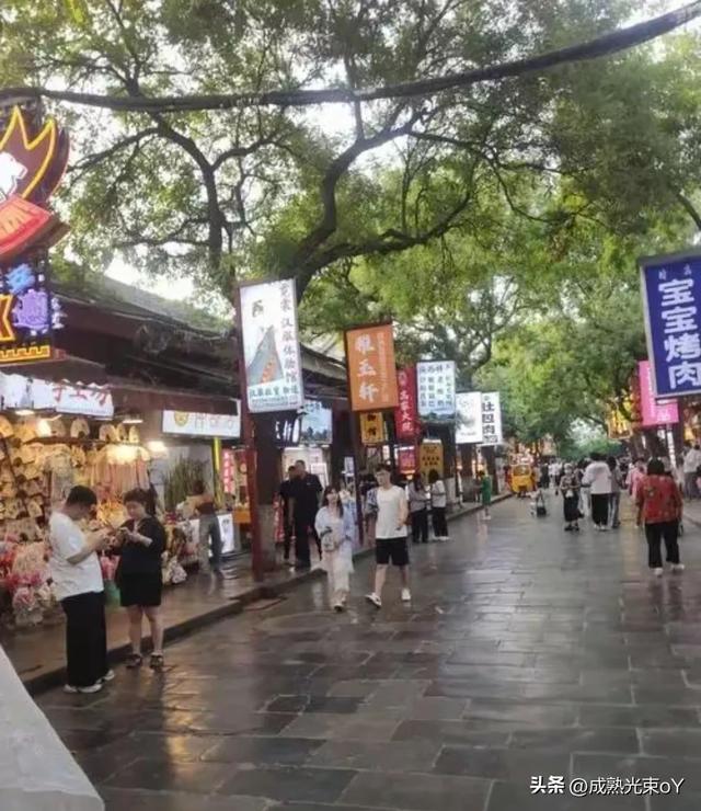 云南这座“作弊级”避暑城22℃空调省电指南与川渝后花园生存报告