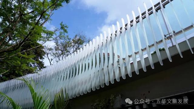 连通翠湖、昆明老街片区！翠湖城市绿道建成开放