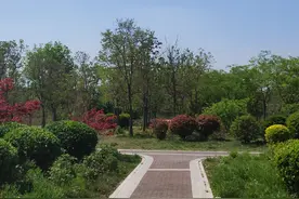 泰安东有一个景区，集文化娱乐亲水游憩于一体，带家人休闲好去处图片