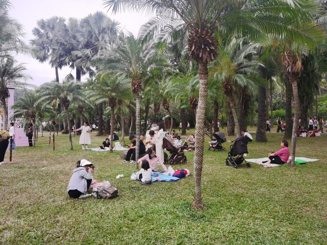 花漫鹏城，墟声鼎沸：2025深圳勒杜鹃赏花周首日走笔