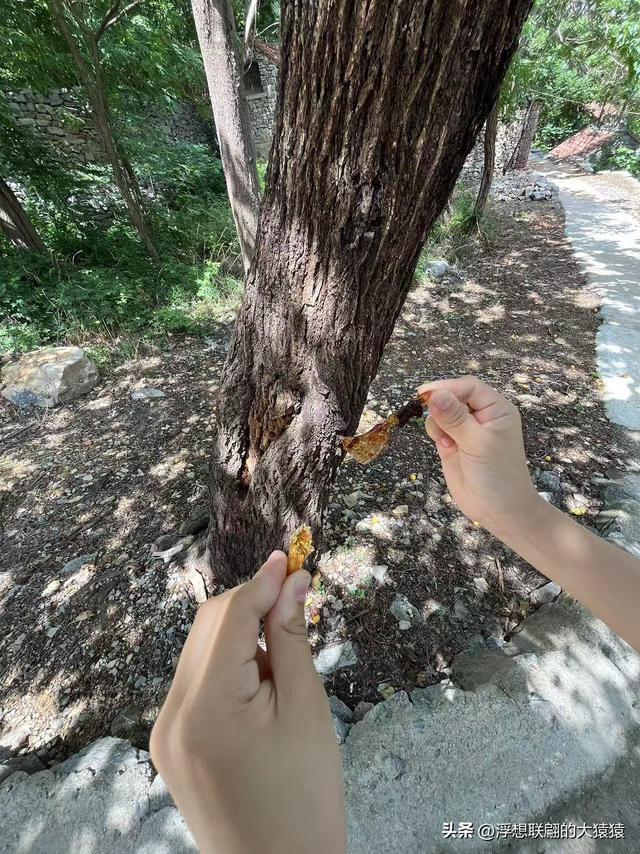 章丘官庄响水泉村，一个古老又美丽的山村