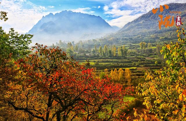 【小陇画报·418期】康乐的秋日 尽在这些斑斓色彩中