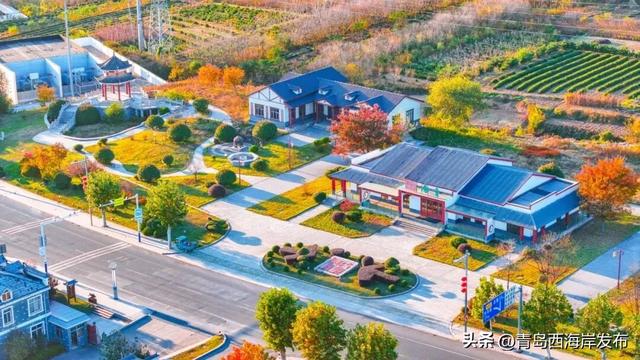 走不出这画了,我已被西海岸的秋景迷倒 🥹