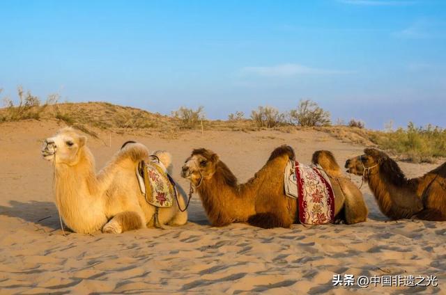 中国世遗又+1，“神秘”王朝惊艳世界！