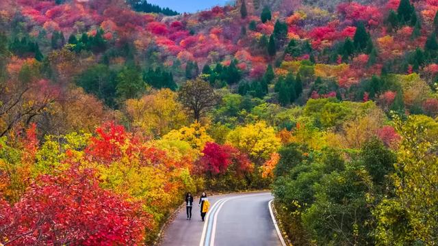 枣庄牛郎山,你怎么美成这样!!