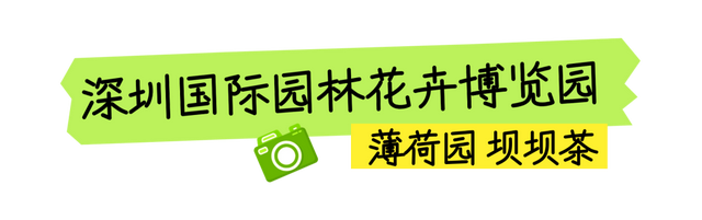 福田公园藏着的神仙小店，先藏后看！（文末福利）