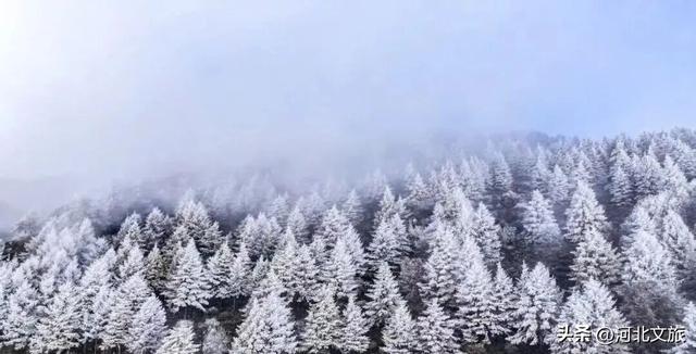 白石山雾凇，带你一秒入冬，感受冰晶玉洁的童话世界