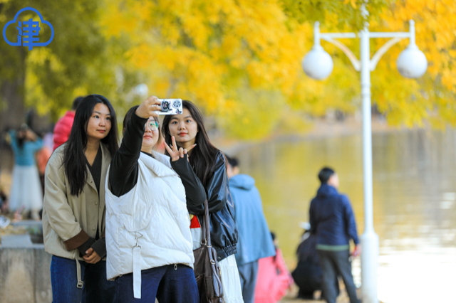 津渡秋色染金画，天津一公园迎来高光时刻！