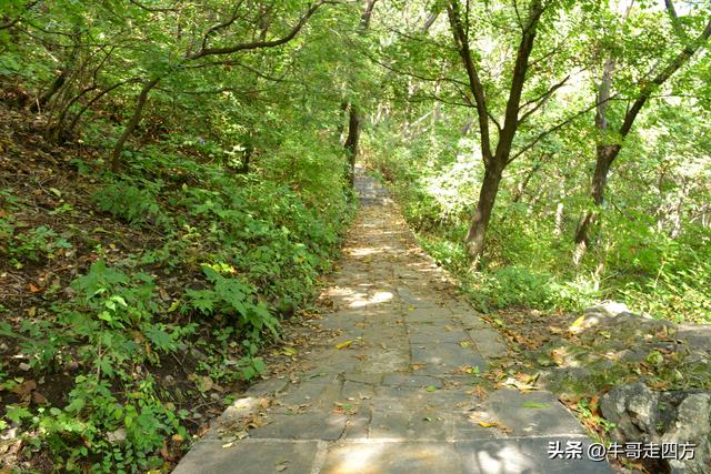 河北百草畔（上）：风动孤石悬险韵，蚁巡深岭蕴生机