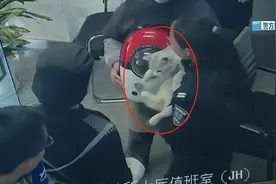 小猫走失15天，主人急了！民警排查监控找到后发现→图片