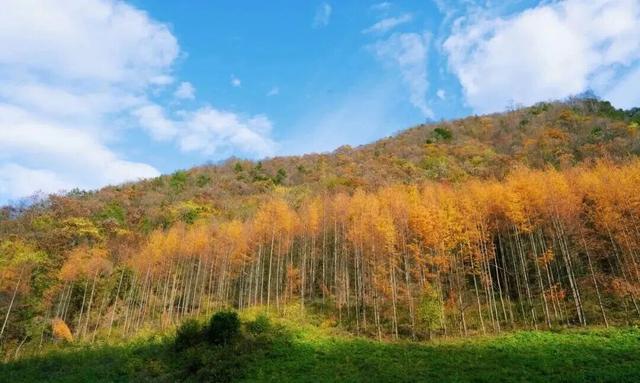 警告！深秋的徽县，千万别出门！因为……
