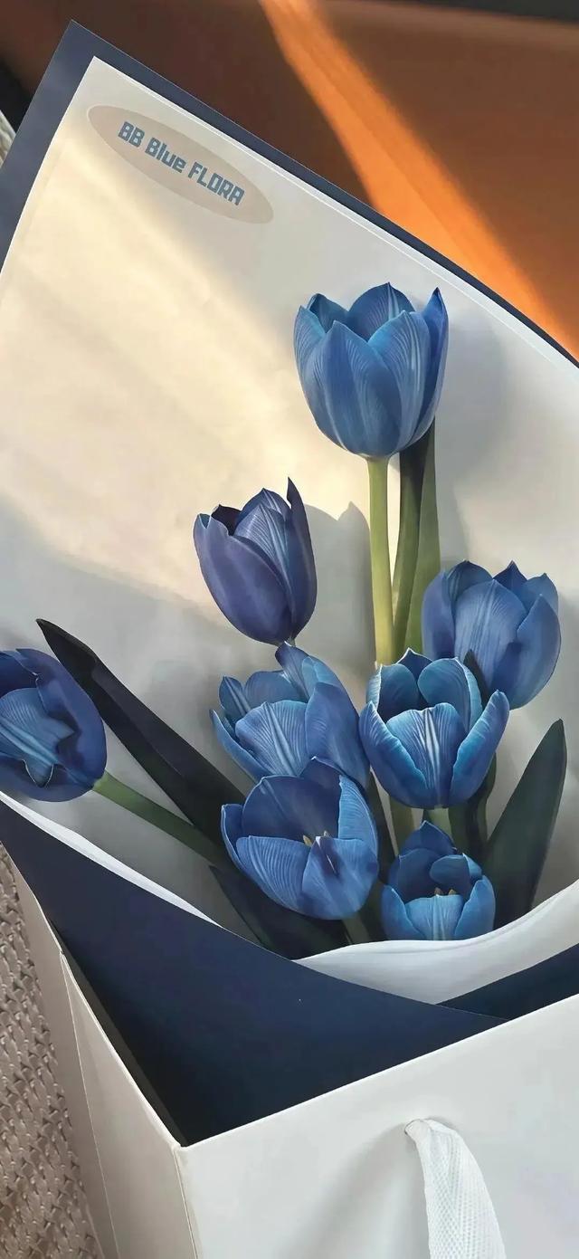 手机锁屏壁纸6.07
