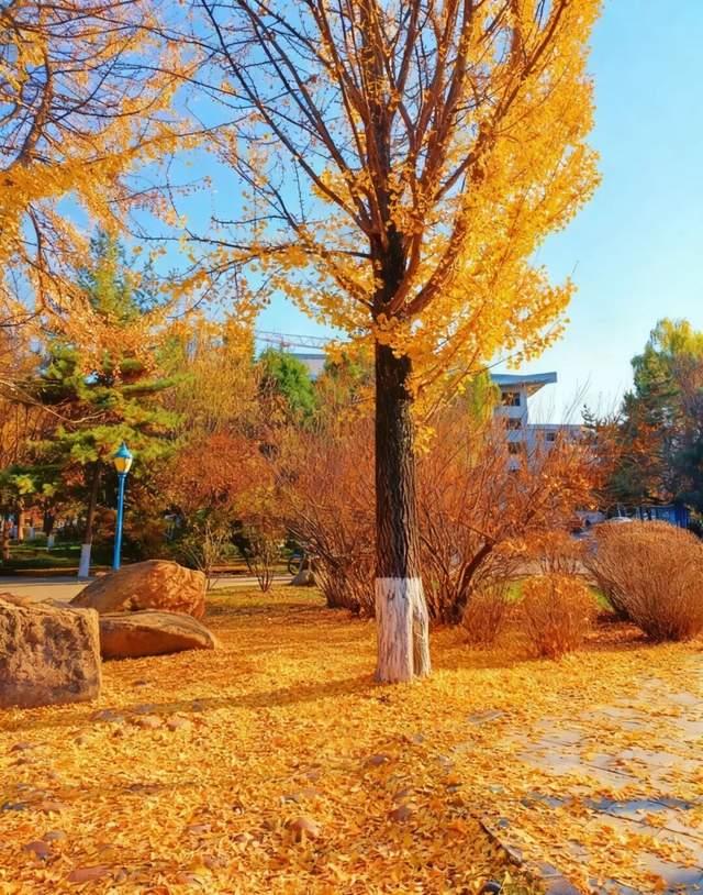 氛围感拉满！集安的秋天，藏着最治愈的人间烟火