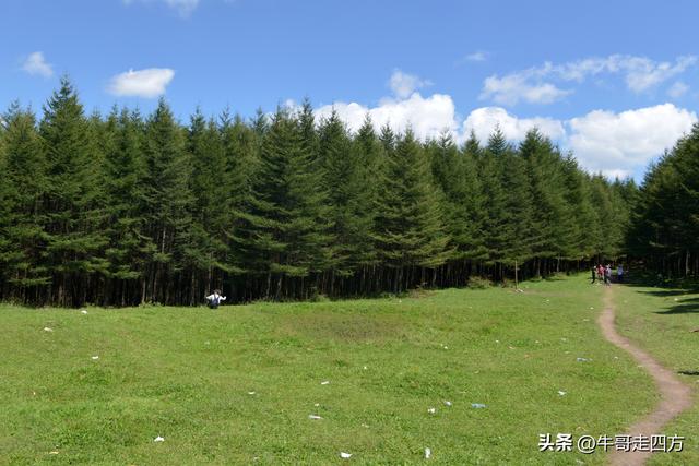 河北麻田岭（上）：绿野铺毡接云影、风轮伴路探山魂