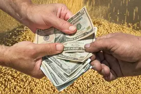 2024年粮补发放政策：农村粮补每亩多少钱？图片