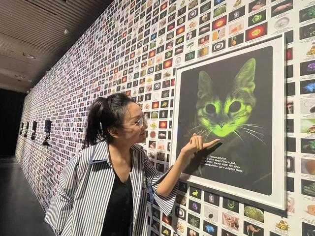 展览“自然契约：技术、媒介、人、自然”引发人与自然新思考