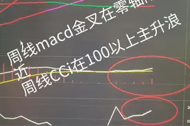 选强势股原则图片