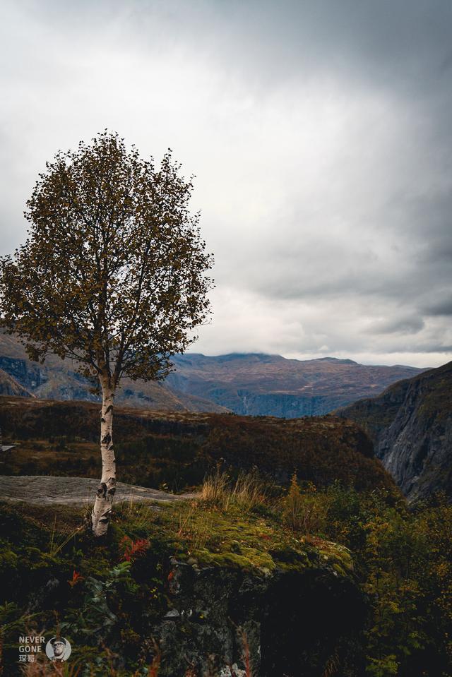 挪威秋韵，峡湾森境