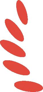 除了精彩赛事，河口的周末还能怎么玩？