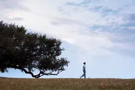 永远不要做压死骆驼的最后一根稻草图片