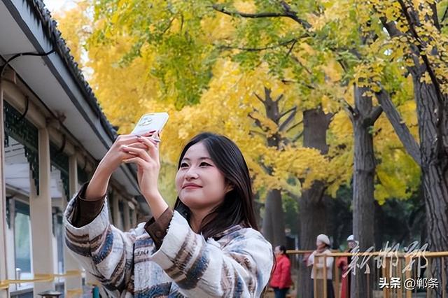 丛台金叶映笑颜 市民乐享好时光